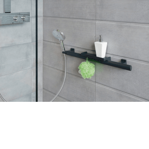 Barre d'appui multifonction pour douche