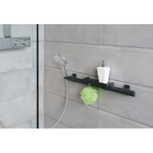 Barre d'appui multifonction pour douche