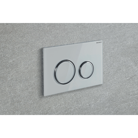 Plaque de déclenchement WC