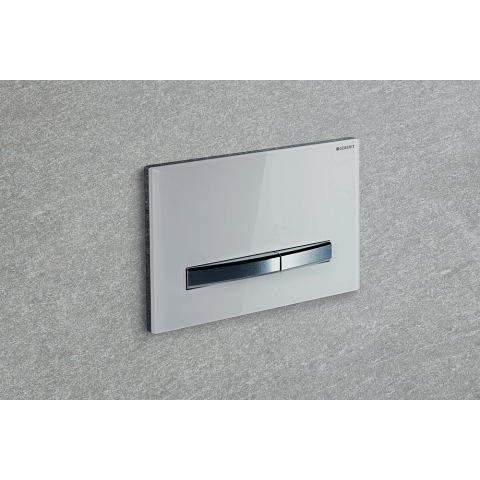 Plaque de déclenchement WC