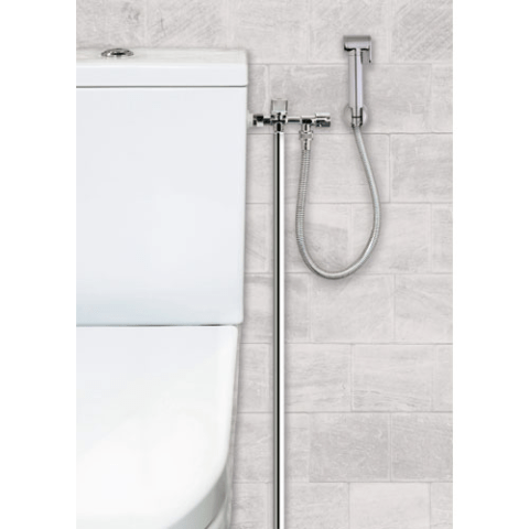 Ensemble hygiénique rénovation Laiton