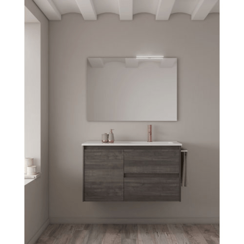 Ensemble Frêne Samara